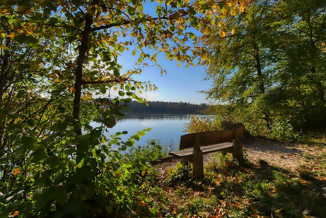 适应半局后全程压制！孙颖莎横扫米特兰姆！国乒5-1领先德国！