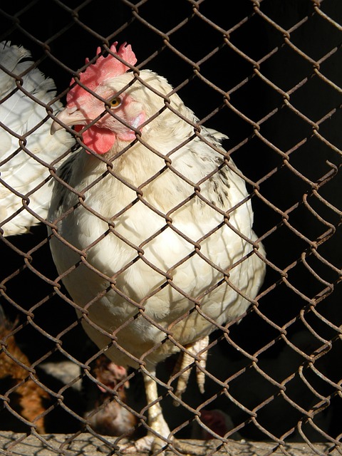 巴图姆：保罗离队当天我给他发了信息，我没说过希望他离开